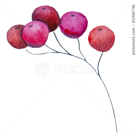 Autumn Watercolor red berries isolated element Autumn Watercolor red berries isolated element 83406746