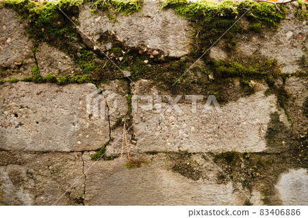 An old stone wall overgrown with green moss. An old stone wall overgrown with green moss. 83406886