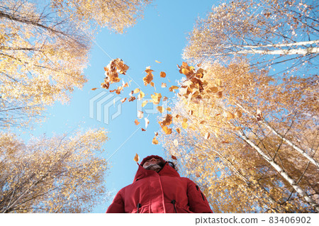 A Woman in A Red Jacket Throws Yellow Leaves. Autumn Landscape. Slow motion video. A Woman in A Red Jacket Throws Yellow Leaves. Autumn Landscape. Slow motion video. 83406902
