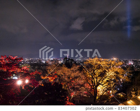 [京都] 清水寺和紅葉燈火通明 83407302