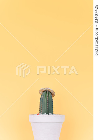 Cactus in straw hat in front of yellow background Cactus in straw hat in front of yellow background 83407428