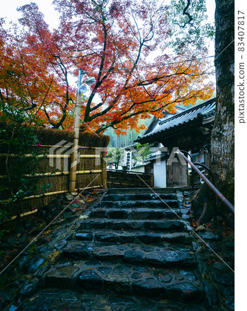 [京都] 雨中鈴木寺的秋葉 83407817