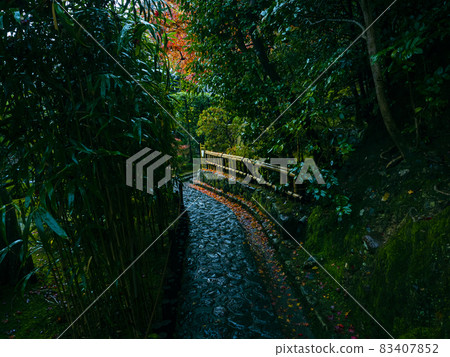 [Kyoto] Autumn leaves at Suzumushi Temple in the rain 83407852