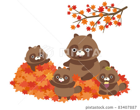 Illustration material: A raccoon family playing with autumn leaves 83407887