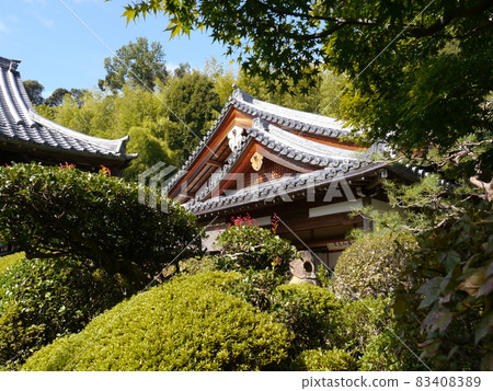 Suzumushi Temple (Suzumushi Temple) 83408389