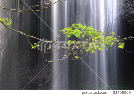 Tatsuzawafudo Falls (Inawashiro Town, Fukushima Prefecture) Tatsuzawafudo Falls (Inawashiro Town, Fukushima Prefecture) 83408969