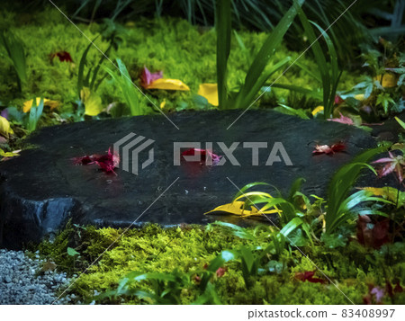[Kyoto] Autumn leaves of Ruriko-in 83408997