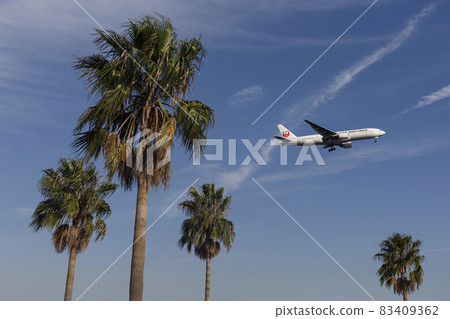 An airplane flying in a tropical landscape An airplane flying in a tropical landscape 83409362
