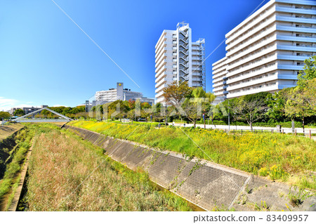 三角橋/鳥山川，望向橫濱玫瑰花醫院（神奈川縣橫濱市） [2021.10] 83409957