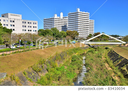 從濱取橋/鳥山川（神奈川縣橫濱市）眺望三角橋 [2021.10] 83410034