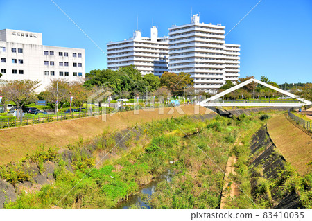從濱取橋/鳥山川（神奈川縣橫濱市）眺望三角橋 [2021.10] 83410035