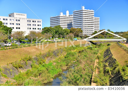 從濱取橋/鳥山川（神奈川縣橫濱市）眺望三角橋 [2021.10] 83410036
