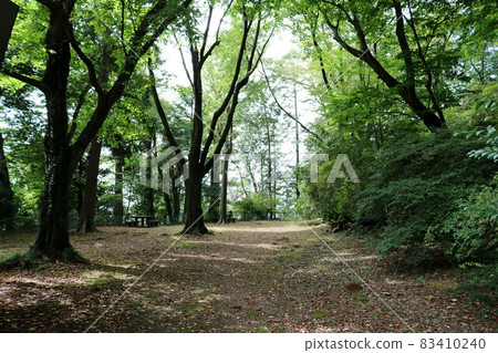 Autumn precincts with clear air Autumn precincts with clear air 83410240