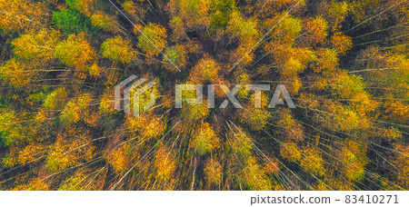 Autumn forest tree tops top view. Autumn forest top view landscape. Autumn forest top view. Autumn forest Autumn forest tree tops top view. Autumn forest top view landscape. Autumn forest top view. Autumn forest 83410271