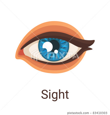 Vector illustration one of five senses - sight 83410303