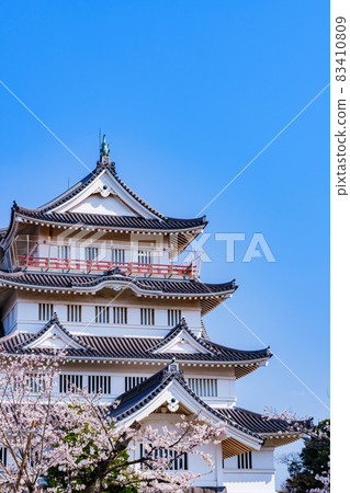 千葉城井之花城千葉市民俗博物館【千葉櫻花景點】 83410809