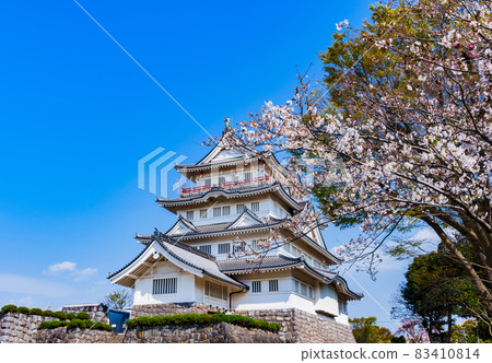 千葉城井之花城千葉市民俗博物館【千葉櫻花景點】 千葉城井之花城千葉市民俗博物館【千葉櫻花景點】 83410814