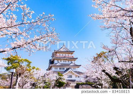 千葉城井之花城千葉市民俗博物館【千葉櫻花景點】 千葉城井之花城千葉市民俗博物館【千葉櫻花景點】 83410815