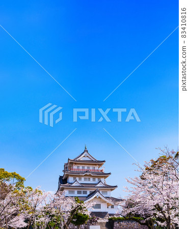 Chiba Castle Inohana Castle Chiba City Folk Museum [Chiba's Cherry Blossom Spot] 83410816