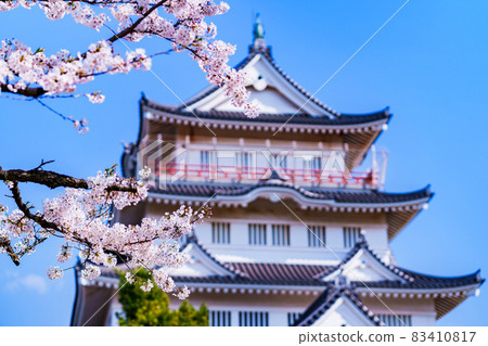 千葉城井之花城千葉市民俗博物館【千葉櫻花景點】 83410817