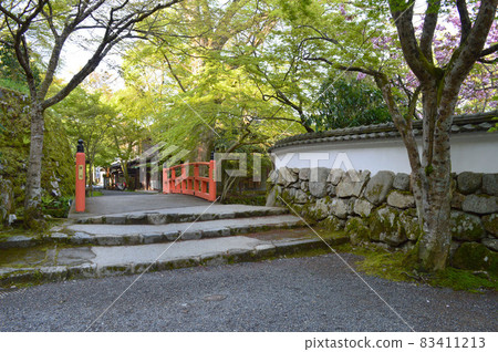 5月,京都大原村的直光院到三千院的小徑,點綴著藍色的楓葉,美不勝收。 5月,京都大原村的直光院到三千院的小徑,點綴著藍色的楓葉,美不勝收。 83411213