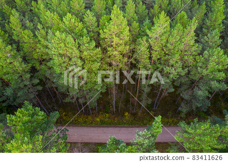 Aerial view from drone of rural road leading through autumn forests and groves in yellow green colors. Dense forest in golden time and empty highway in fall season. Roadway among colorful treetops Aerial view from drone of rural road leading through autumn forests and groves in yellow green colors. Dense forest in golden time and empty highway in fall season. Roadway among colorful treetops 83411626