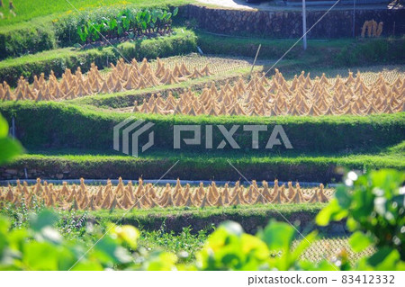 Haystacked straw hat 83412332