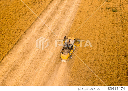 Top view of a combine harvester harvesting wheat from a field Top view of a combine harvester harvesting wheat from a field 83413474