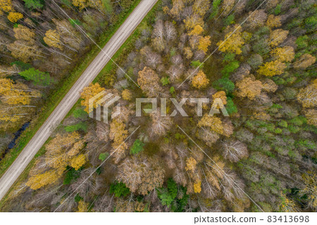 Aerial view from drone of rural road leading through autumn forests and groves in yellow green colors. Dense forest in golden time and empty highway in fall season. Roadway among colorful treetops 83413698