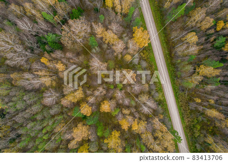 Aerial view from drone of rural road leading through autumn forests and groves in yellow green colors. Dense forest in golden time and empty highway in fall season. Roadway among colorful treetops 83413706