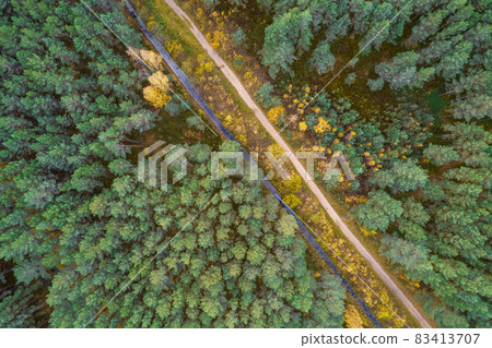 Aerial view from drone of rural road leading through autumn forests and groves in yellow green colors. Dense forest in golden time and empty highway in fall season. Roadway among colorful treetops 83413707
