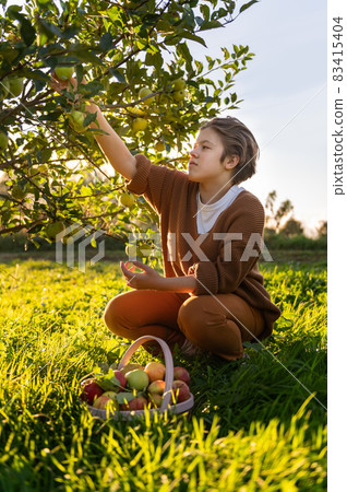 Girl is picking fresh organic apples 83415404