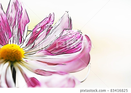 粉彩般的“大花菊懸崖菊花”插畫形象 83416825