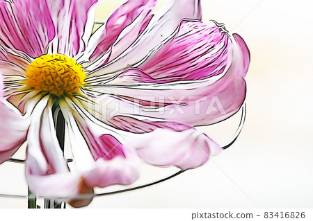 粉彩般的“大花菊懸崖菊花”插畫形象 83416826