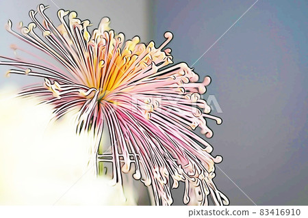 粉彩般的“大花菊懸崖菊花”插畫形象 粉彩般的“大花菊懸崖菊花”插畫形象 83416910