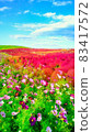 Kochia of Hitachi Beach Park 83417572