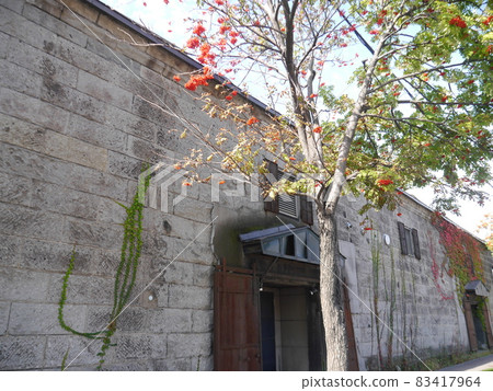 A stone building with entwined autumnal ivy A stone building with entwined autumnal ivy 83417964