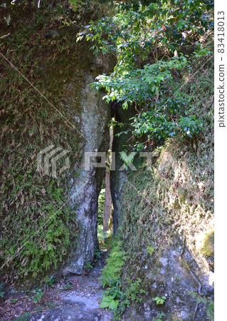 Strange rocks and needle ears in Iwaya Park 83418013