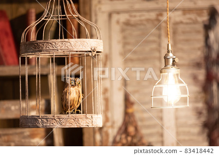 古董房間裡的貓頭鷹動物標本剝制術 古董房間裡的貓頭鷹動物標本剝制術 83418442