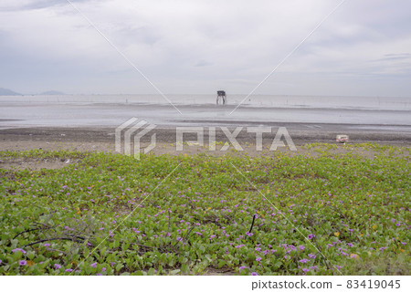 Landscape photo along the coast with a variety of flowers blooming everywhere Landscape photo along the coast with a variety of flowers blooming everywhere 83419045