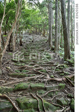 Sone Jirozaka Tarozaka stone pavement (Iseji) [Owase City, Mie Prefecture, Kumano City, Mie Prefecture] 83420166