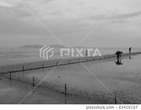 Black and white landscape photo: a seaside baseball village at dawn. Black and white landscape photo: a seaside baseball village at dawn. 83420187