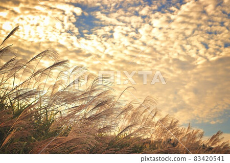 Dusk of autumn Dusk of autumn 83420541