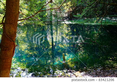 Maruike Pond (Yuza Town, Yamagata Prefecture) 83421206