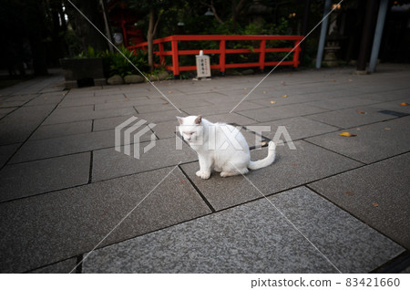 Lord of Atago Shrine Lord of Atago Shrine 83421660