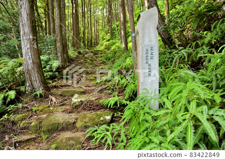 Hago Pass Road（伊勢道路）[三重縣尾羽市] 83422849
