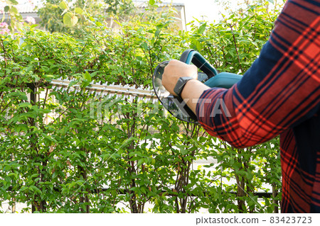 Gardener holding electric hedge trimmer to cut the treetop in garden. 83423723