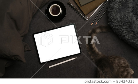 Digital tablet, books and lovely cat on gray carpet. Digital tablet, books and lovely cat on gray carpet. 83424335
