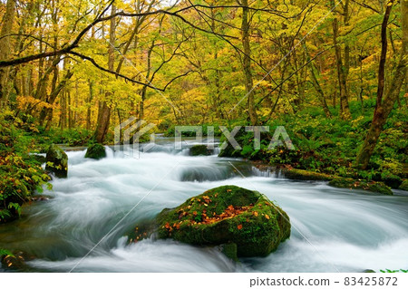 Flow of Oirase [Autumn makeup] ④ 83425872