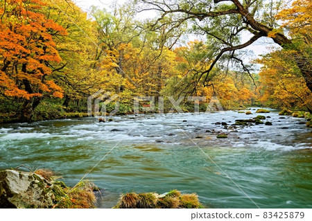 Flow of Oirase [Autumn makeup] ⑧ 83425879
